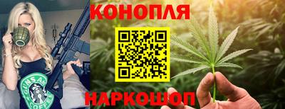 молекула духа Бердск