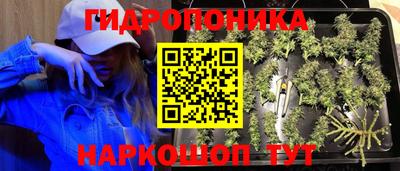 молекула духа Бердск