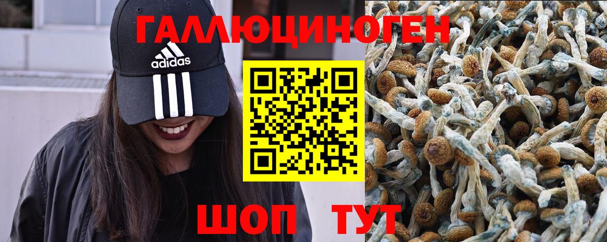 Псилоцибиновые грибы ЛСД Туймазы